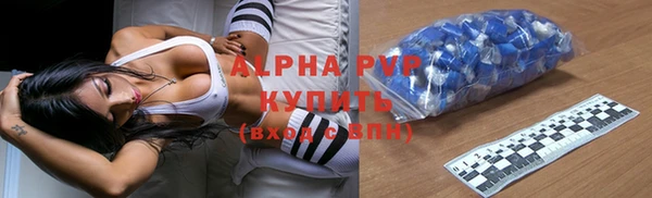 мет Алексин