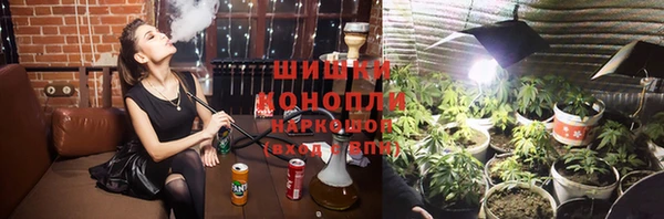 мет Алексин
