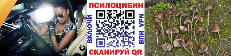 Галлюциногенные грибы MAGIC MUSHROOMS  наркота  МЕГА маркетплейс  Усть-Илимск 