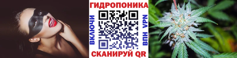 Бошки марихуана THC 21%  Усть-Илимск 